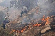 مهار27 مورد آتش سوزی  در مراتع و جنگل های شهرستان اسلام آبادغرب /نقش مهم نیروهای مقاومت بسیج مردمی در اطفاء حریق