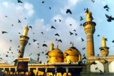 آگاهی تاریخی از زندگی و مكتب علمى جوادالائمه(ع)/ کرامات پیشوای نهم