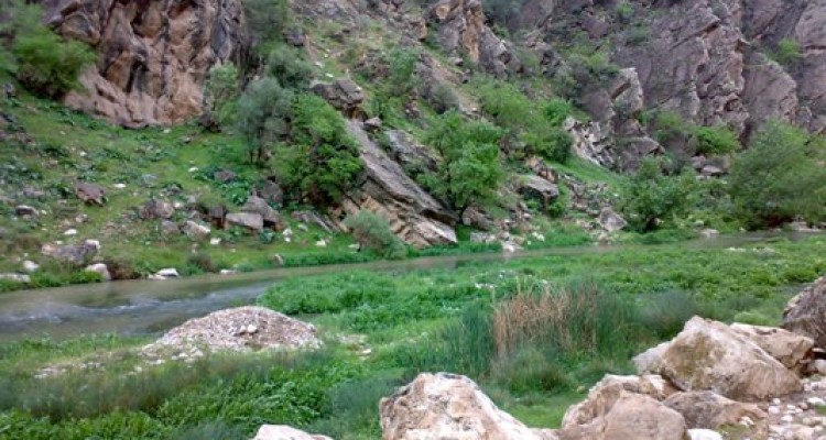 طبیعت زیبای "میان تنگ منصوری"  با منظره های جذاب و دیدنی