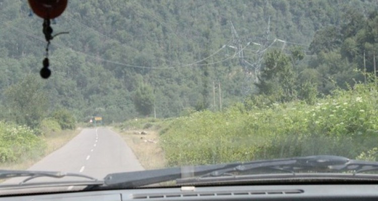 داستان خواندنی زندگی زنی که خرس به او و فرزندش حمله کرد