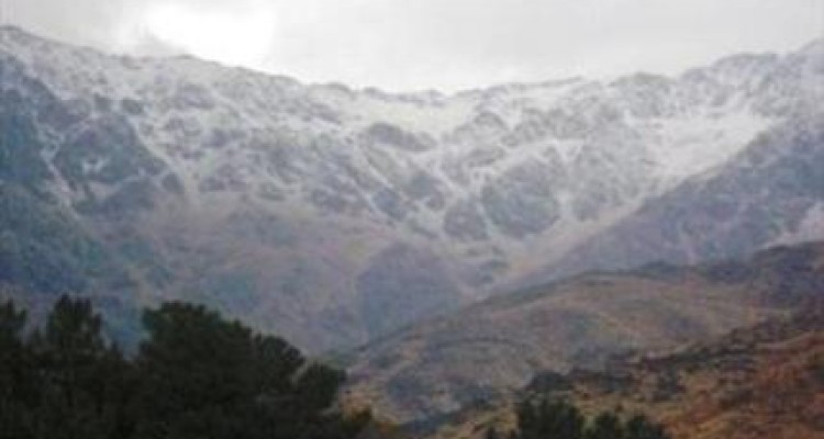 علم کوه در نیمه مرداد سفید پوش شد