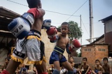 کودکانی که به زور روی رینگ بوکس می‌روند