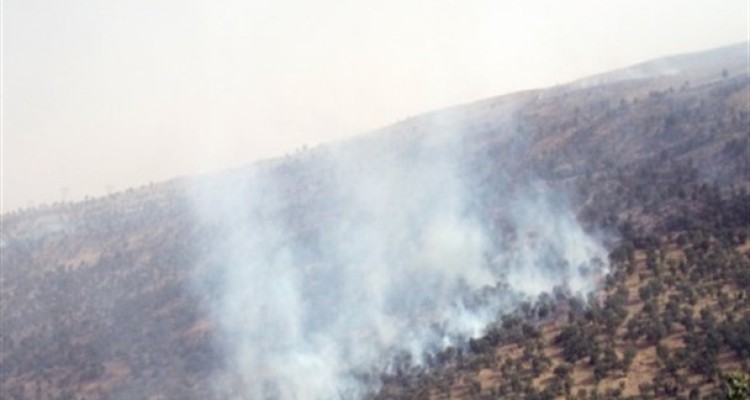 مهار آتش سوزی جنگل های حدفاصل اسلام آبادغرب- ایلام-گیلانغرب