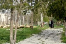 تكرار اشتباهات و فرصت هاي از دست رفته 