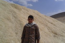 اجرای اقتصاد مقاومتی با جمع آوری کاه و کلش بی ارزش در اسلام آبادغرب