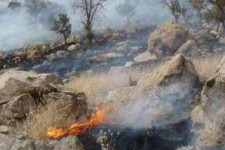 منطقه "ملیه نه" در گیلانغرب دچار آتش سوزی شد+ تصاویر