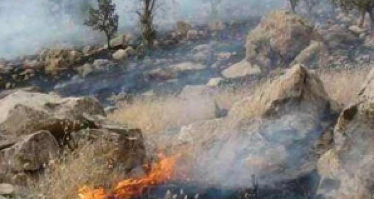 منطقه "ملیه نه" در گیلانغرب دچار آتش سوزی شد+ تصاویر