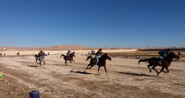 مسابقات سوارکاری کورس پاییزه در اسلام آبادغرب برگزار شد