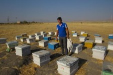 اسلام آبادغرب این بار سنگر مقاومت اقتصادی شد/ وقتی درآمد حلال نیش زنبورها را هم لذت بخش می کند