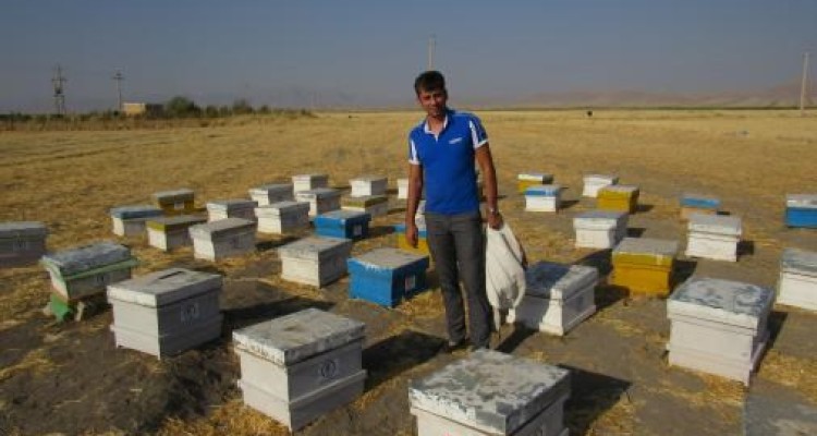 اسلام آبادغرب این بار سنگر مقاومت اقتصادی شد/ وقتی درآمد حلال نیش زنبورها را هم لذت بخش می کند