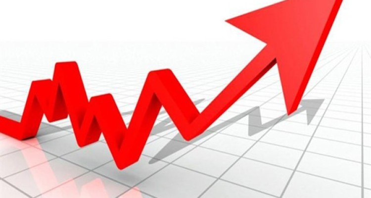 مبنای محاسبه دولت برای تورم مشخص نیست/ در حالی که قیمت کالاهای ضروری بیش از 20 درصد افزایش داشته، دولت تورم را تک رقمی اعلام می کند!