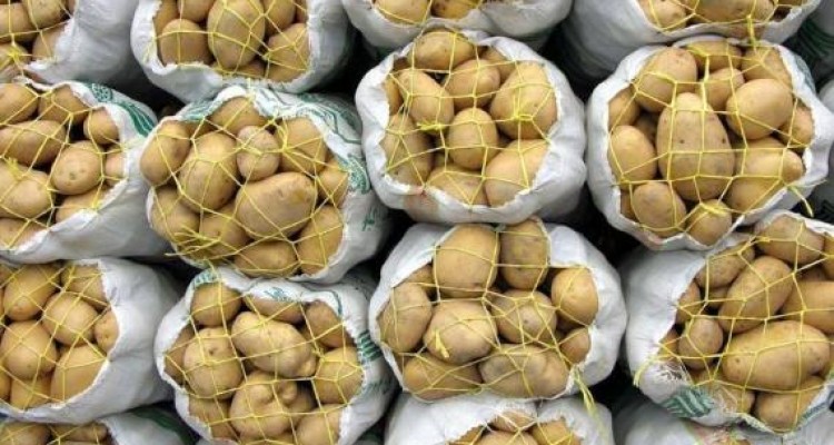 مراقب این ماده خطرناک در سیب زمینی سرخ کرده باشید