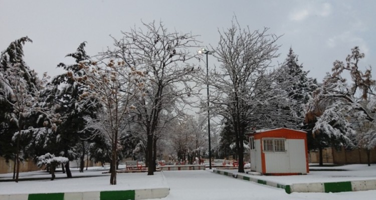 بارش برف بازهم  اسلام آبادغرب را سفیدپوش کرد+ تصاویر