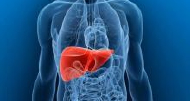 8 علامتی که زنگ خطر آسیب دیدن کبدتان است! 