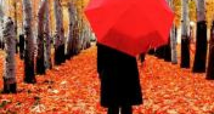 ساده بگویم کم آورده ام