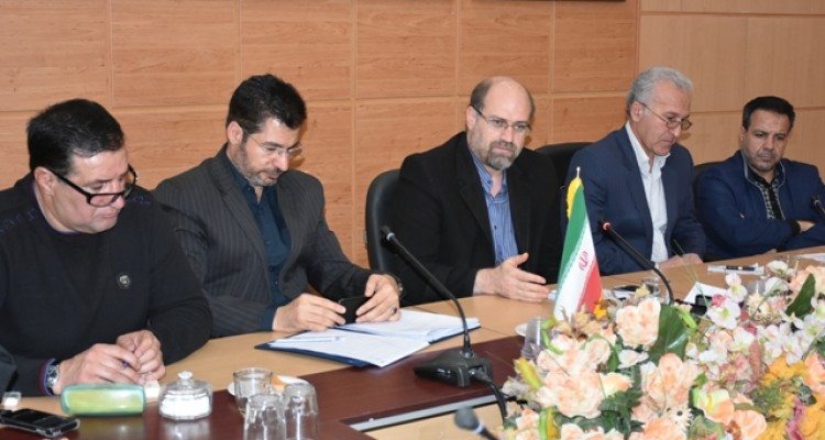 تولید 500 هزار اصله نهال در نهالستان اداره منابع طبیعی اسلام آبادغرب