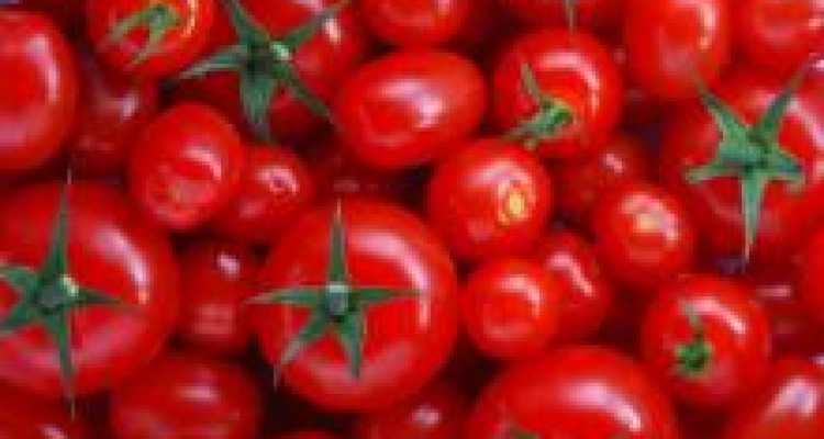 خواص گوجه فرنگی