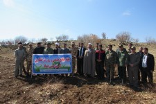 نهال کاری نیم هکتار از اراضی پادگان شهید حفیظی اسلام آبادغرب+تصاویر