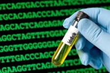 مشاوره ژنتیک پیش از ازدواج در سال ۹۶ اجباری می‌شود 