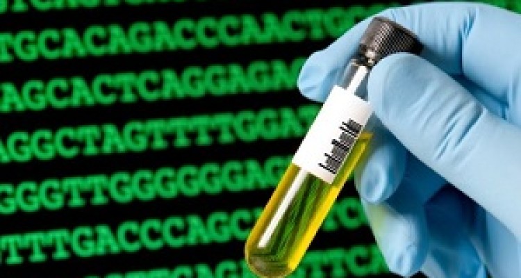 مشاوره ژنتیک پیش از ازدواج در سال ۹۶ اجباری می‌شود 