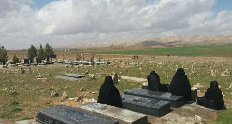 چه خوبه تا وقتی زنده ایم قدر همدیگر را بدانیم...