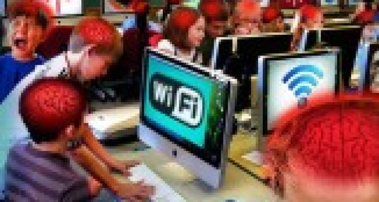 چرا کودکان در برابر امواج آسیب پذیرترند؟/ تاثیر 10 برابر امواج در مغز استخوان کودکان 