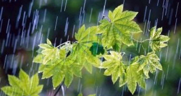 تداوم بارش‌ها در کرمانشاه تا روز پنجشنبه/موج دوم بارندگی‌ از جمعه