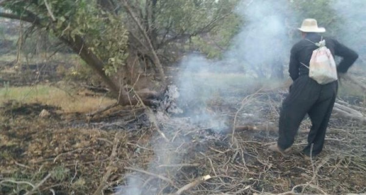 جزئیات آتش سوزی ارتفاعات جنگلی روستای باندر علیا در اسلام آبادغرب/مهار حریق با کمک نیروهای مردمی+تصاویر