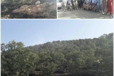 مهار آتش سوزی جنگل های جنوبی اسلام آبادغرب با همکاری  نیروهای مردمی بسیج و سپاه شهرستان/سوختن کمتر از 1هکتار از مراتع گلال سیاه