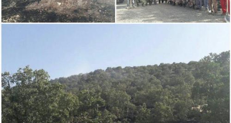 مهار آتش سوزی جنگل های جنوبی اسلام آبادغرب با همکاری  نیروهای مردمی بسیج و سپاه شهرستان/سوختن کمتر از 1هکتار از مراتع گلال سیاه
