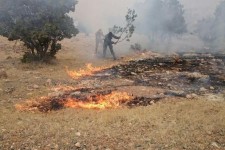 مهار آتش سوزی جنگل های جنوبی اسلام آبادغرب در کمتر از 2 ساعت+تصاویر