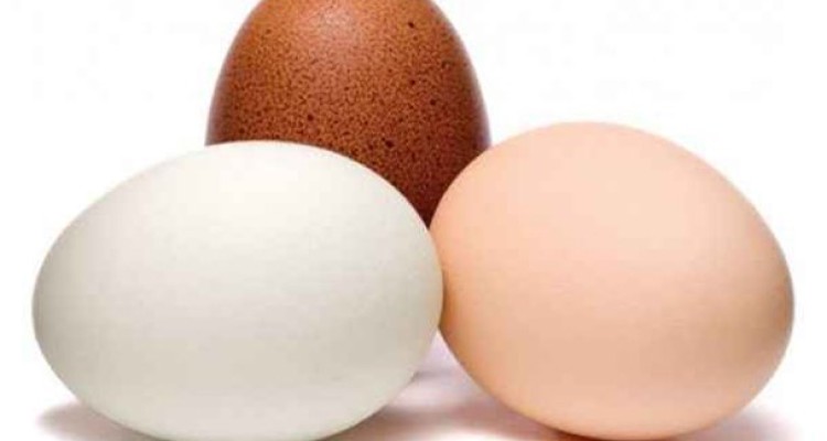 تخم مرغ هم به لیست سیاه خانوار پیوست!