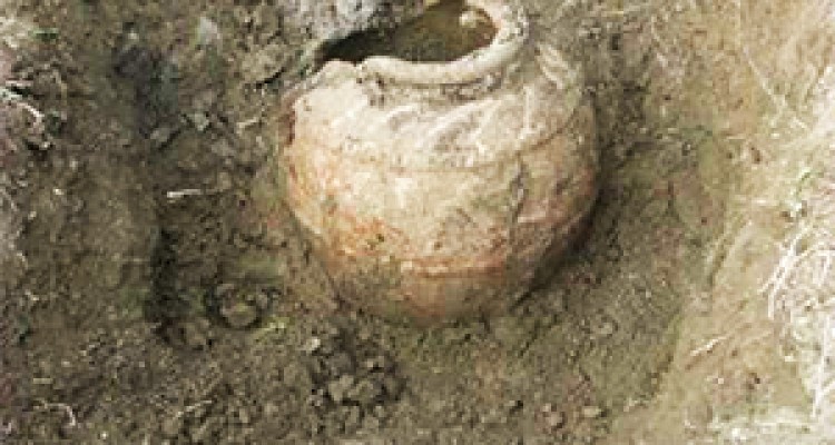 کشف چند خمره قدیمی توسط شهرداری مشهد، موضوع داغ خبرگزاری‌ها + صوت 