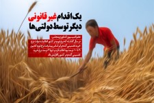 یک اقدام غیرقانونی دیگر توسط دولتی ها در حوزه واردات/ کشاورزان ضرر می کنند، دولت گندم وارد می کند!/ بهانه عجیب دولتی ها برای توجیه واردات گندم به کشور