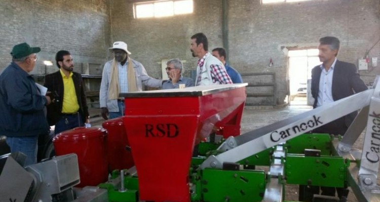 تایید کارائی دستگاه ساخته شده بومی برای کشت مستقیم نخود توسط مسئولان ارشد پروژه بین المللی امنیت غذایی( ایکاردا)