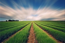 توصیه‌های هواشناسی به کشاورزان برای ۶ روز آینده 