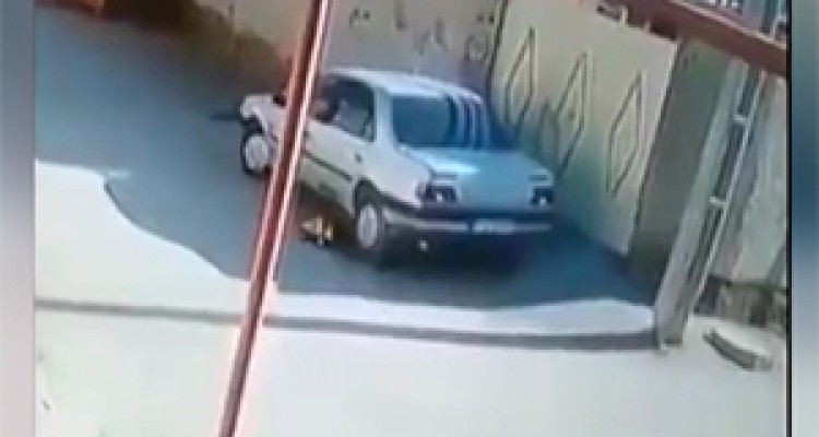 پدری که با خودرو پسرش را زیر گرفت + فیلم 