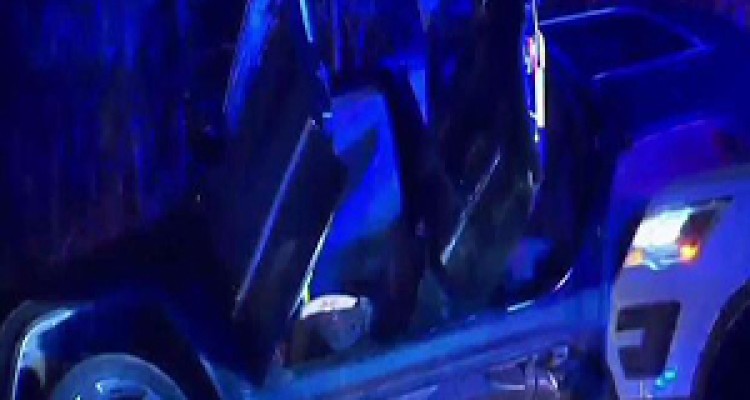 تضاهرات « همه ما بیژن هستیم » در آمریکا + فیلم 