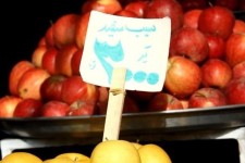 ۱۰۰۰ تن سیب و پرتقال ایام پایانی سال ذخیره‌سازی شد