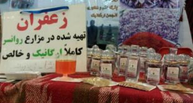 خواهرانی که در روانسر زعفران ارگانیک تولید می کنند