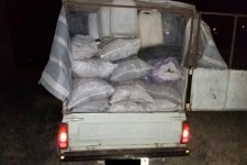 کشف 25کیسه زغال بلوط در حمیل+ تصاویر 