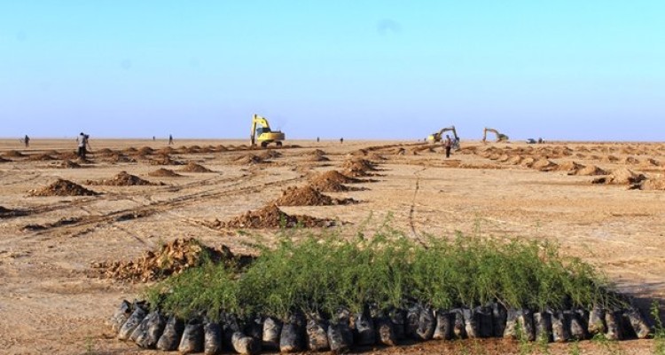 طرح احیاء جنگل های منطقه گلال سیاه با مشارکت شهروندان 