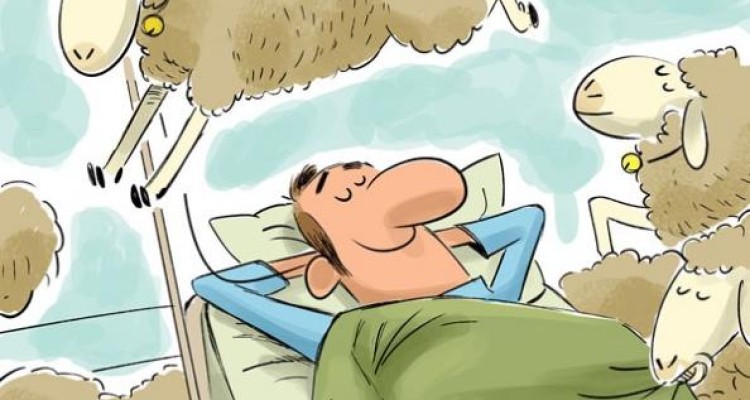  اینم بیمارستانی پر از گوسفند! 