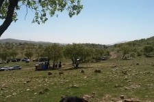 طبیعت بهاری اسلام آبادغرب +تصاویر