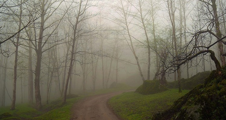 روستای تنیان/تصاویر