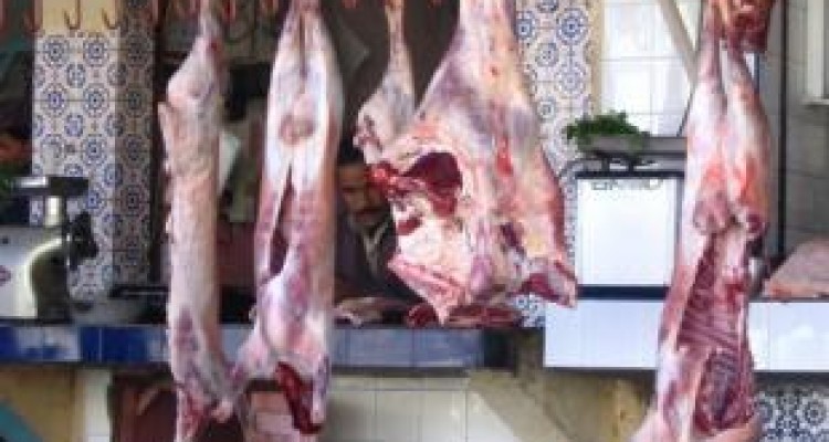 قصابی های حمیل ساماندهی می شوند 