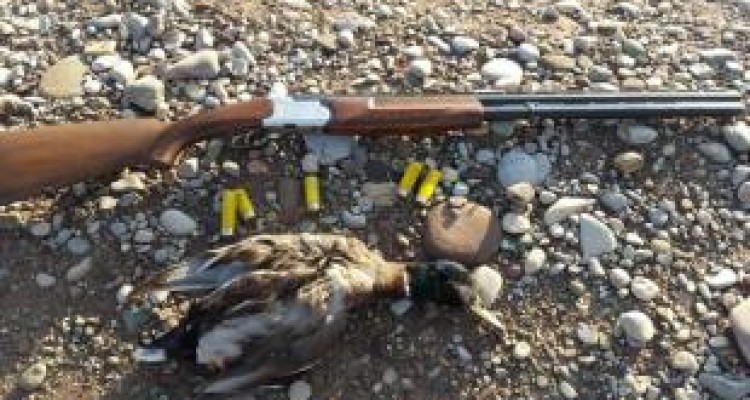 دستگیری شکارچیان غیرمجاز پرنده در دالاهو
