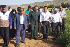 بازدید فرمانده سپاه اسلام آبادغرب از طرح بسیج همگام با کشاورز در شهرستان +تصاویر 