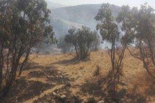 مهار آتش سوزی در مراتع و جنگل های شمالی اسلام آبادغرب/سوختن بیش از 10 هکتار از مراتع وپسچر روستای سوران