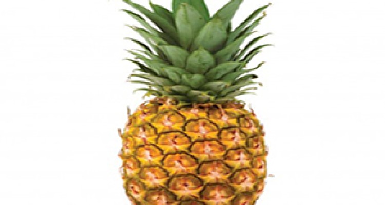 شگرد عجیب و غریب قاچاقچیان برای انتقال مواد مخدر + فیلم 